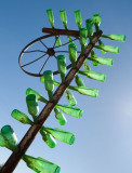 The Bottle Tree Ranch