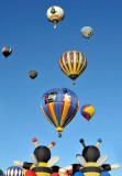 The Great Reno Balloon Race 2009