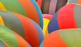 The Great Reno Balloon Race 2009