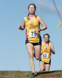 Queens Cross Country 06458 copy.jpg
