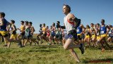 Queens Cross Country 06536 copy.jpg