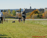 Queens Cross Country 06554 copy.jpg