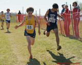 Queens Cross Country 06702 copy.jpg