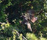 7---2010-2826-NC.jpg