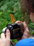 IMG_3926 Quickly, Carefully, take a picture.