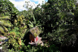 Burial site. IMG_1207.jpg