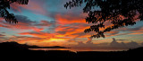 From our back porch. The land and ocean, may we preserve it and all that lives there. L1008352.jpg