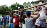 Unloading a yam. IMG_7823.jpg