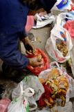 Sorting garbage for types of food.