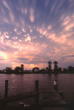 Landscapes
