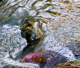 Swirling waters