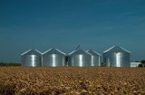 The Grain Gang