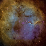 IC1396 in Cepheus