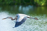 GBH-In flight