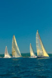 Ugotta_regatta_2007