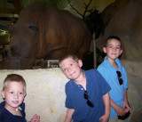 at the Zoo and Park - Florida
