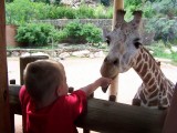 Colordo Springs Zoo, Colorado