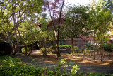 The Faculty Club