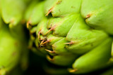 9/11/2010 Artichoke