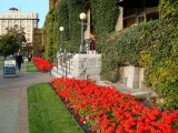 sDSC00119.JPG