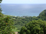sDSC01372.JPG