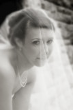 IMG_3905 bw blur.jpg
