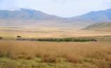 isolated Maasai village in the valley of Serengeti
