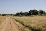 Serengeti