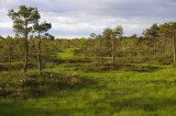 Kemeri National Park