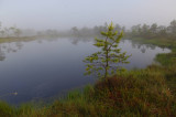 Kemeri National Park