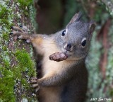 IMG_4871a2.jpg