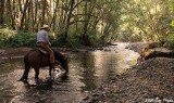 South Fork of the Newaukum River