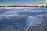 1-7-11_6385 (21mm)