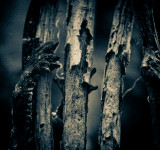 The Claws