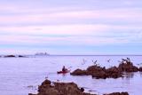 2 April 06 - Wellington's South Coast