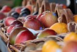 Fresh Fruit at Savenor's