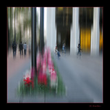 Urban Jungle-3