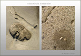 Diptyches: From Natural to Man-made_557_page2