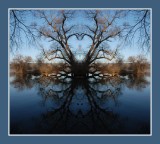 Morning light over the lake_572u