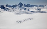 Stikine Icefield, View S To Burkett & Devil's Thumb (Stikine042809--_154.jpg)