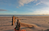 Spurn Point IMG_8208.JPG