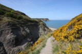 Runswick bay 14.JPG