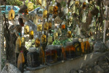 Polis 0469.JPG
