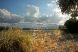 Polis 0485.JPG