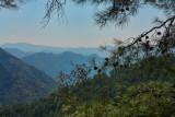 Troodos mountains 9573.JPG