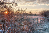 Dunswell IMG_7188.jpg