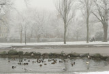 Pearson Park after light snow 2