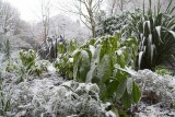 Pearson Park after light snow 4