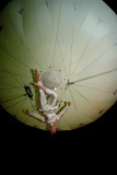 The Heliosphere