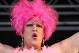 The Pink Supremes